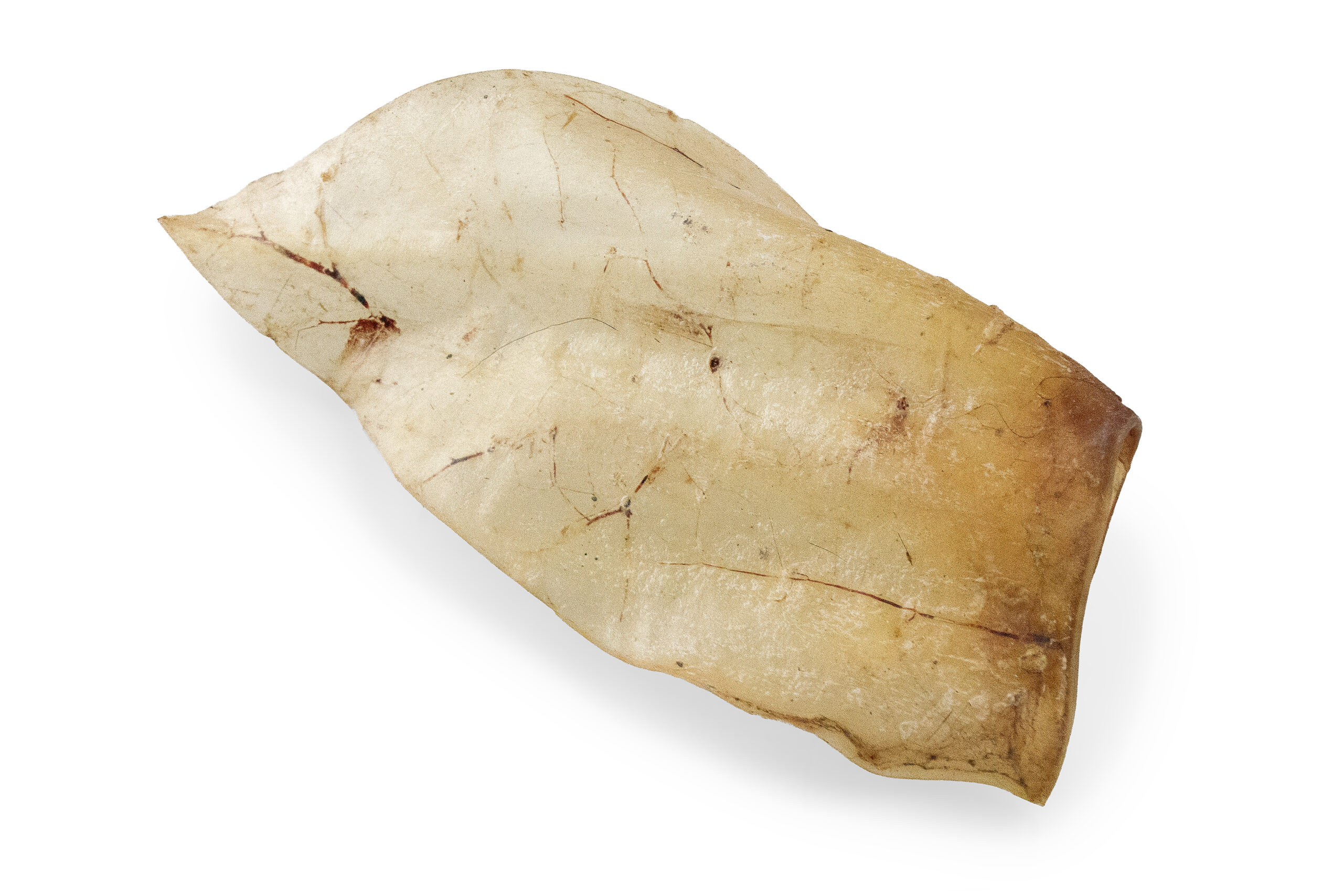 P1020144_ret_Rinderohren-Flaps