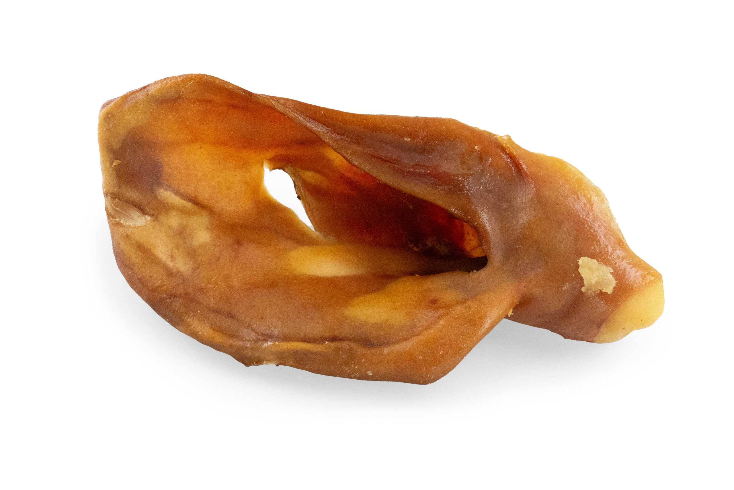 P1020172_ret_Schweineohren-mit-Muschel