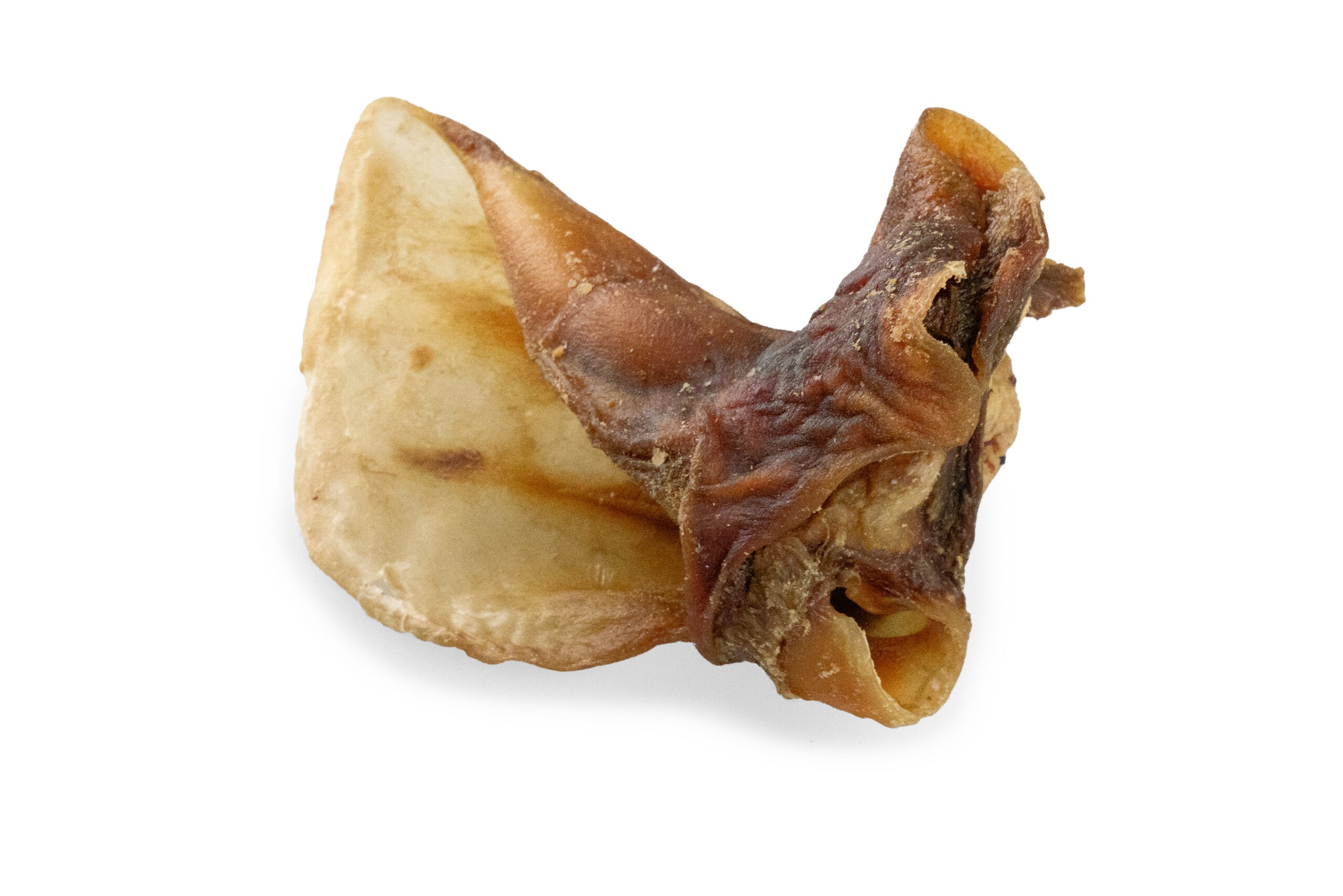 P1020200_ret_Rinderohren-mit-Muschel